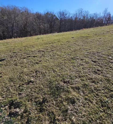 40 19 Acre Low Gap Rd, Noel, MO 64854 photo 12
