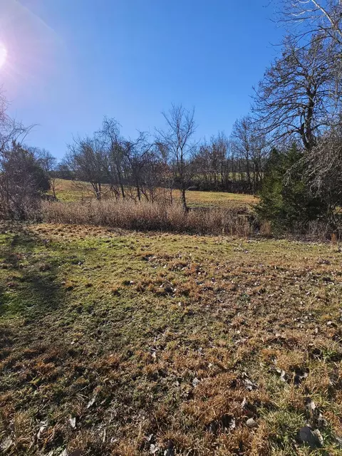 40 19 Acre Low Gap Rd, Noel, MO 64854 photo 21