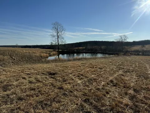 000 State Hwy Tt, Falcon, MO 65470 photo 6