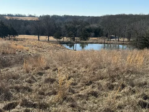000 State Hwy Tt, Falcon, MO 65470 photo 3