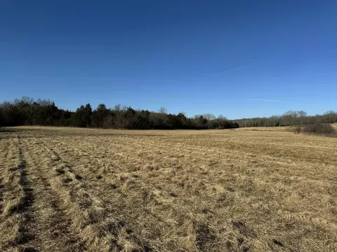 000 State Hwy Tt, Falcon, MO 65470 photo 9