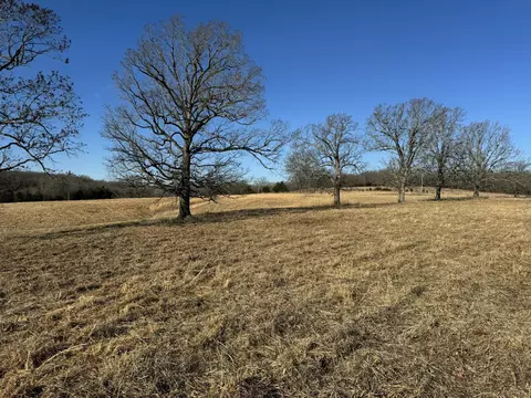 000 State Hwy Tt, Falcon, MO 65470 photo 15