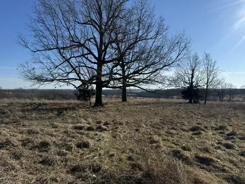 000 State Hwy Tt, Falcon, MO 65470 photo 22