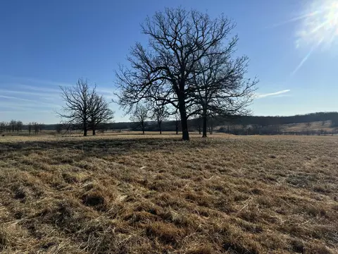 000 State Hwy Tt, Falcon, MO 65470 photo 5