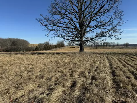 000 State Hwy Tt, Falcon, MO 65470 photo 12