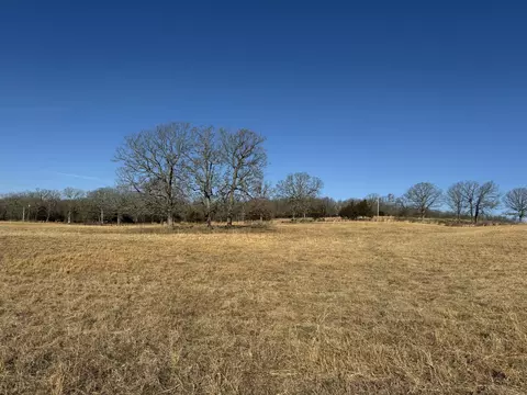 000 State Hwy Tt, Falcon, MO 65470 photo 10