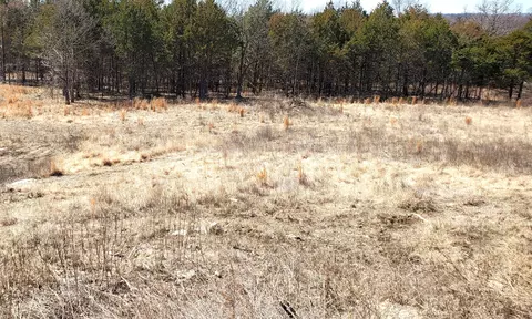 000 Lot 188 Silver Sunset Ln, Kimberling City, MO 65686