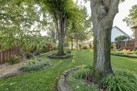 1501 E Bingham St, Ozark, MO 65721 photo 55