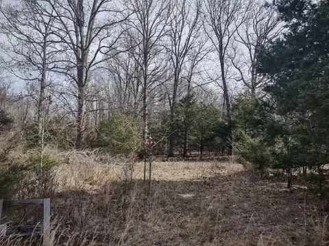 000 N Marshall Rd, Marshfield, MO 65706 photo 9