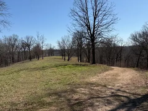 000 Tract 2 Sugar Fork Rd, Goodman, MO 64843 photo 6