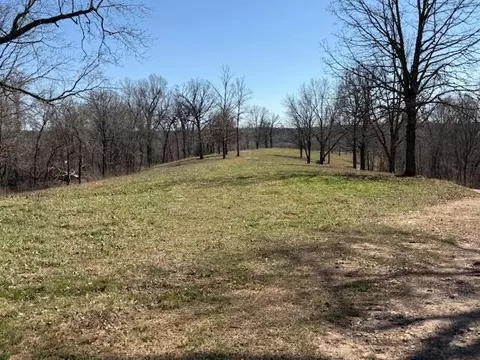 000 Tract 2 Sugar Fork Rd, Goodman, MO 64843 photo 8