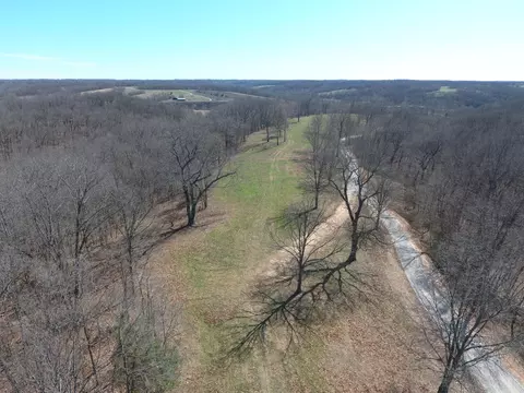 000 Tract 2 Sugar Fork Rd, Goodman, MO 64843 photo 5