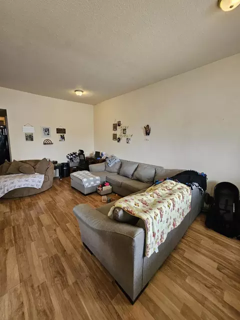 Living - 505 9th St, Monett, MO 65708 photo 3 of 5