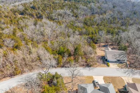 lot S 62 63 Eagle Dr, Forsyth, MO 65653 photo 4