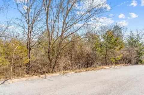 lot S 62 63 Eagle Dr, Forsyth, MO 65653 photo 2