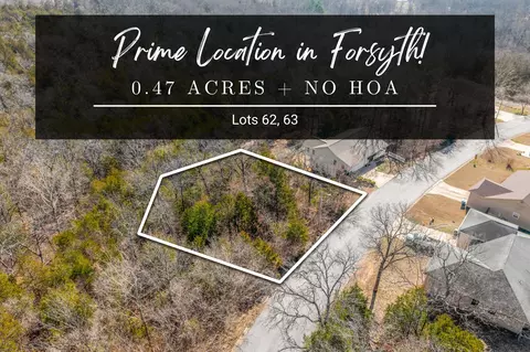 lot S 62 63 Eagle Dr, Forsyth, MO 65653