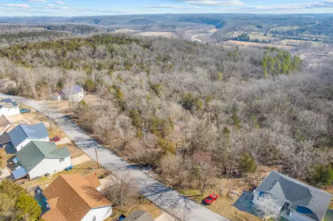 lot53 Eagle Dr, Forsyth, MO 65653 photo 5