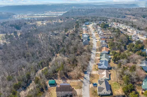lot53 Eagle Dr, Forsyth, MO 65653 photo 8