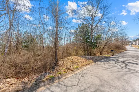 lot53 Eagle Dr, Forsyth, MO 65653 photo 2