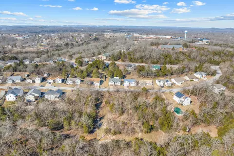 lot49 Eagle Dr, Forsyth, MO 65653 photo 11