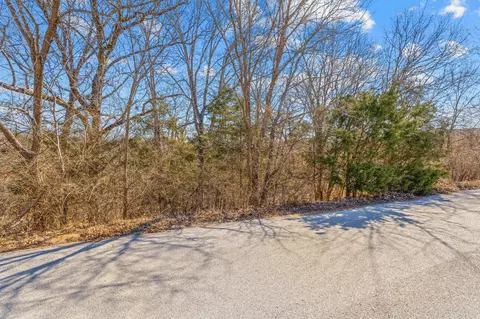 lot49 Eagle Dr, Forsyth, MO 65653 photo 2