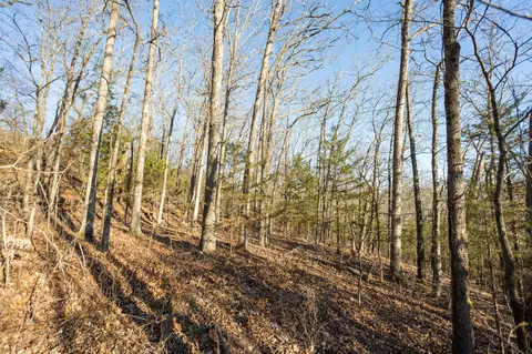 6955 Chadwick Rd, Chadwick, MO 65629 photo 50