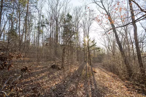 6955 Chadwick Rd, Chadwick, MO 65629 photo 64