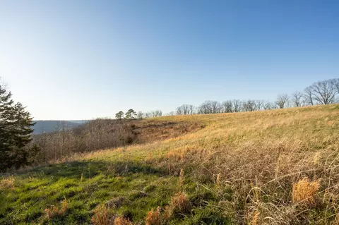 6955 Chadwick Rd, Chadwick, MO 65629 photo 61