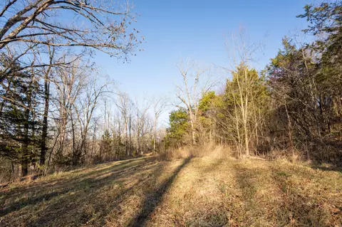 6955 Chadwick Rd, Chadwick, MO 65629 photo 68