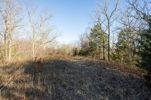 6955 Chadwick Rd, Chadwick, MO 65629 photo 55