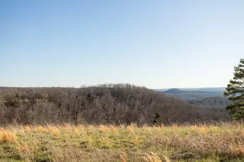 6955 Chadwick Rd, Chadwick, MO 65629 photo 58