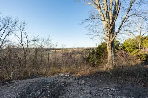 6955 Chadwick Rd, Chadwick, MO 65629 photo 62