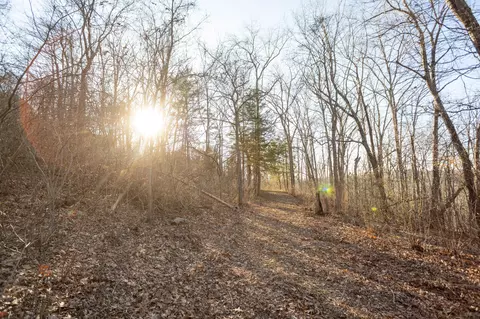 6955 Chadwick Rd, Chadwick, MO 65629 photo 66