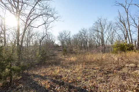 6955 Chadwick Rd, Chadwick, MO 65629 photo 54