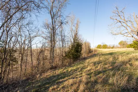 6955 Chadwick Rd, Chadwick, MO 65629 photo 60