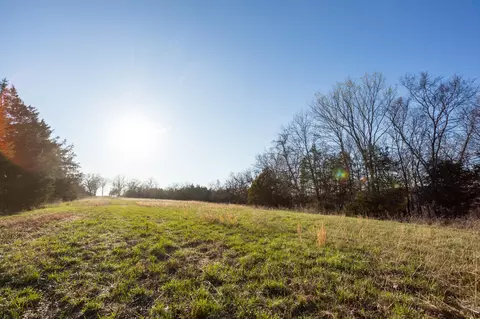 6955 Chadwick Rd, Chadwick, MO 65629 photo 63