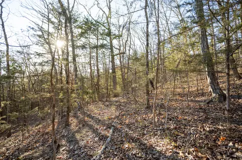 6955 Chadwick Rd, Chadwick, MO 65629 photo 51