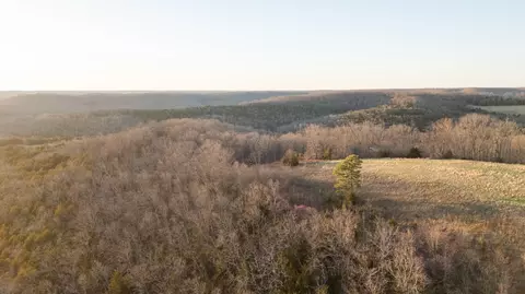6955 Chadwick Rd, Chadwick, MO 65629 photo 41