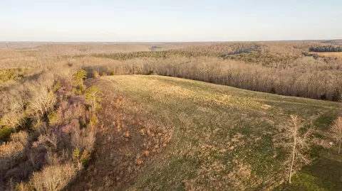 6955 Chadwick Rd, Chadwick, MO 65629 photo 72