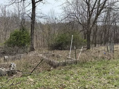 9002 County Road 522-a, Ava, MO 65608 photo 7