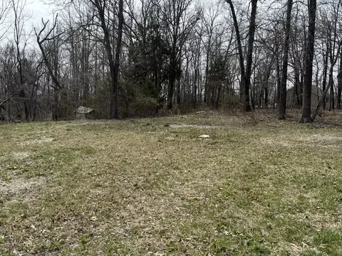 9002 County Road 522-a, Ava, MO 65608 photo 5