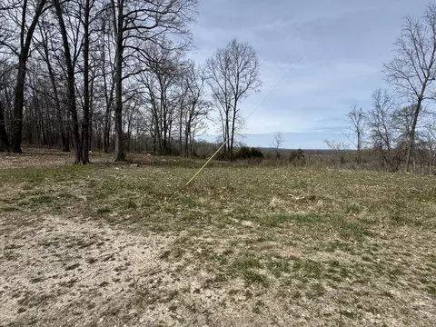 9002 County Road 522-a, Ava, MO 65608 photo 2