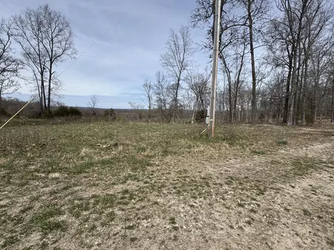 9002 County Road 522-a, Ava, MO 65608 photo 4