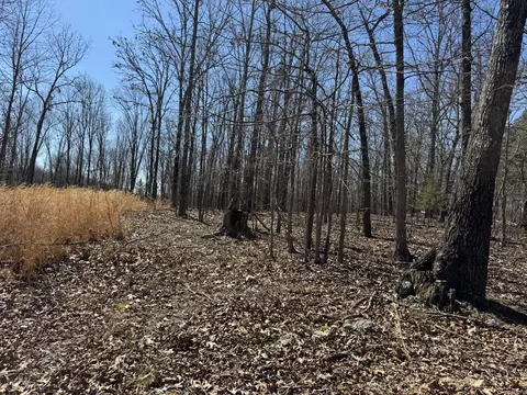 tbd County Road 486, Birch Tree, MO 65438