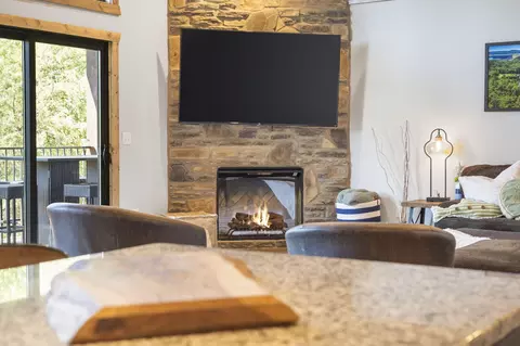 Living - 168 Jax Trl #49, Indian Point, MO 65616 photo 2 of 5