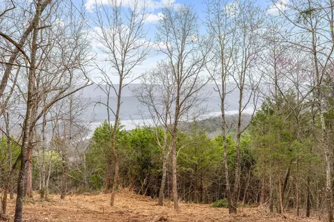 tbd Tract1 Big Bay Rd, Shell Knob, MO 65747 photo 28