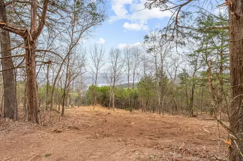 tbd Tract1 Big Bay Rd, Shell Knob, MO 65747 photo 29
