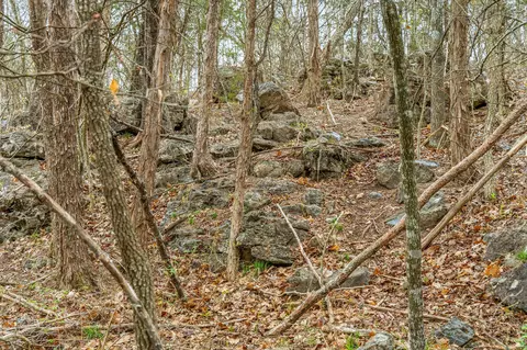 tbd Tract1 Big Bay Rd, Shell Knob, MO 65747 photo 44