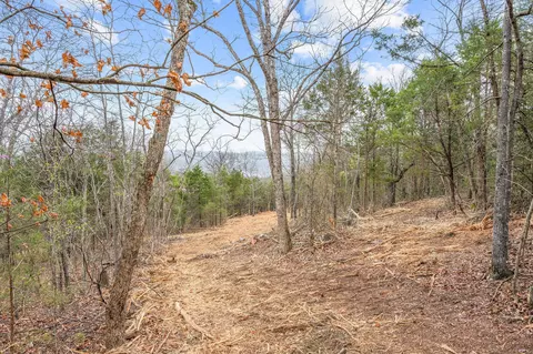 tbd Tract1 Big Bay Rd, Shell Knob, MO 65747 photo 40