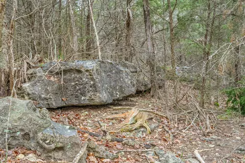 tbd Tract1 Big Bay Rd, Shell Knob, MO 65747 photo 37